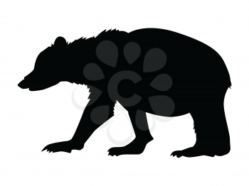 silhouette of bear, wildlife motive