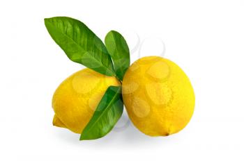 Royalty Free Photo of Two Lemons