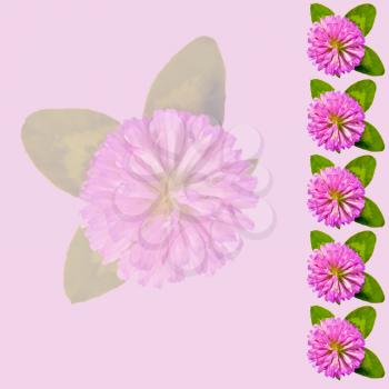 Frame of flowers and green leaves of clover isolated on pink background
