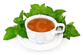 Herbal tea in a white porcelain dish with sprigs of mint isolated on white background