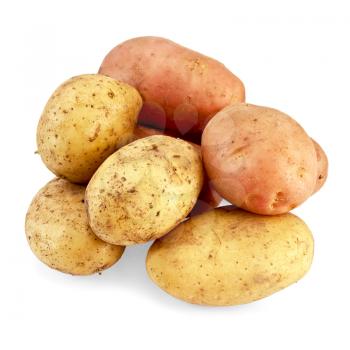 Lots of pink and yellow potatoes isolated on a white background