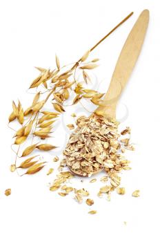 Rolled oats in a wooden spoon, stalks of oats is isolated on a white background