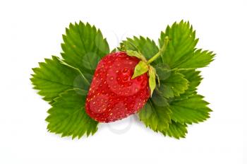 Red ripe strawberries lying on the green leaves isolated on a white background