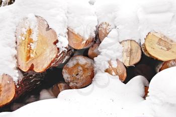 Section of harvested timber under a layer of snow