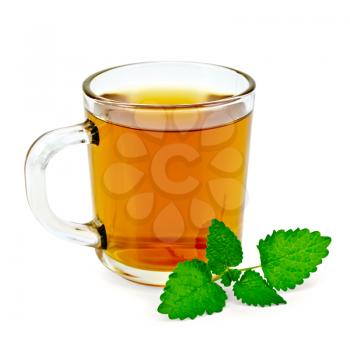 Healing herbal tea in a glass mug with a sprig of melissa isolated on white background