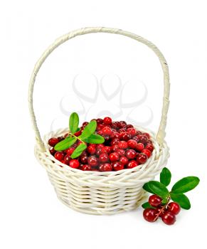 Ripe red cowberry in a white wicker basket, a sprig with berries and leaves isolated on white background