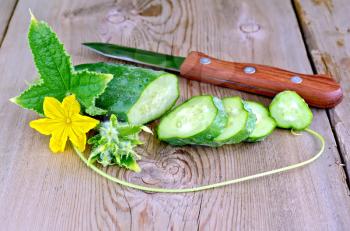 Sliced cucumber with yellow flower and green leaf, knife on background wooden plank