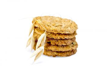 Stack of oatmeal cookies with a stalk of oats isolated on a white background