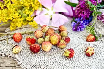 Wild ripe strawberries on the stems and wild flowers on burlap on the background of wooden boards