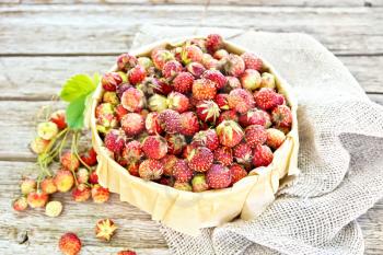 Wild ripe strawberries in a birch bark box with parchment on sackcloth against the background of wooden boards