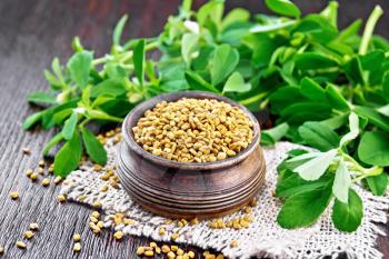 Fenugreek seeds in a bowl on a burlap napkin with green leaves on dark wooden board background