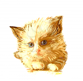 hand drawn portrait of the ginger kitten with blue eyes