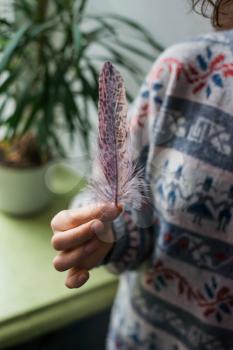 Feather in hand