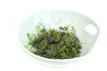 Royalty Free Photo of Herbs in a Dish