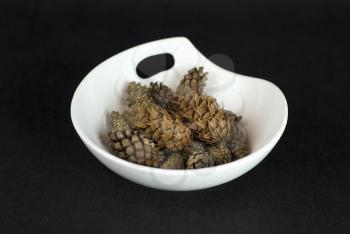 Royalty Free Photo of a Bowl of Pine Cones 