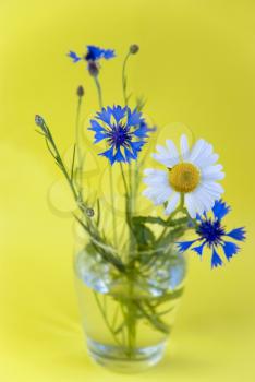 Royalty Free Photo of a Vase of Flowers