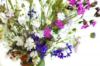 Royalty Free Photo of a Vase of Flowers