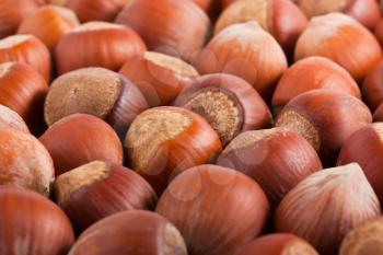 Royalty Free Photo of a Background of Hazelnuts