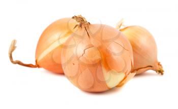 Three fresh golden onions isolated on white background