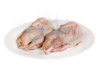 Two partridge fresh birds on white plate
