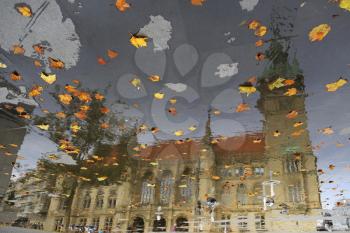 Braunschweig dom reflection on the pavement with autumn leaves and doves