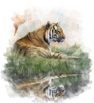 Watercolor Digital Painting Of  Tiger  On Grassy Bank With Reflection