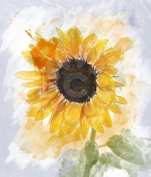 Watercolor Digital Painting Of  Sunflower