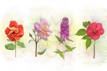 Digital Watercolor Painting Of Flower Background