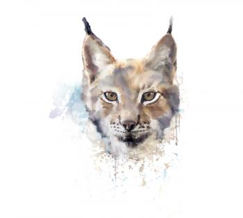 Digital Painting of Watercolor lynx. 