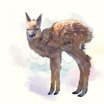whitetail deer fawn watercolor painting