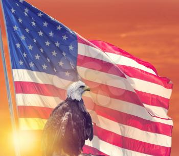 American Flag and Bald Eagle against sunset