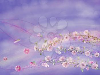 Pink hollyhock flowers watercolor background. Digital painting.
