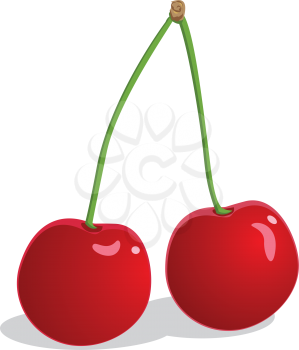 Royalty Free Clipart Image of Two Cherries