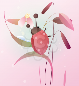 Ladybird on a flower