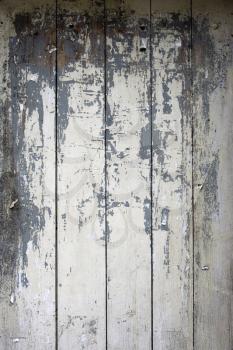 An Old and damaged wood door