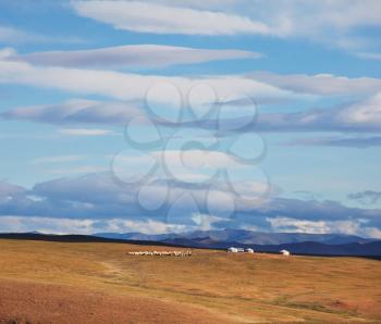 Royalty Free Photo of a Field and Mongolian Gers