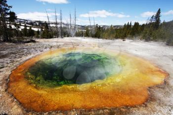 Royalty Free Photo of Mammoth Hot Spring in Yellowstone Park