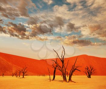 Royalty Free Photo of Dead Valley in Namibia