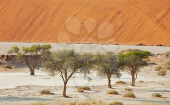 Royalty Free Photo of Dead Valley in Namibia