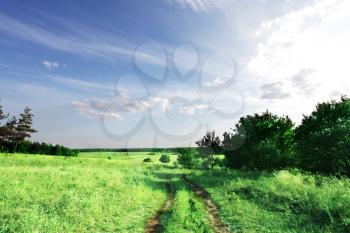 Royalty Free Photo of a Road in a Field