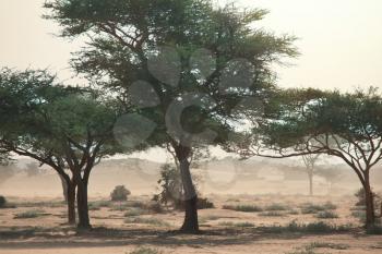 Sandstorm in desert,Sudan