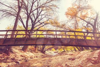 Amazing wooden bridge in the autumn forest