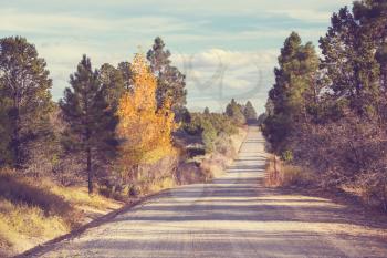 Colorful Autumn scene on countryside road in the sunny morning in Sierra Nevada area