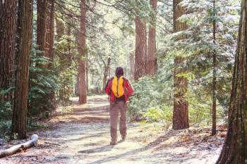 Man hiking bay the trail in the forest.