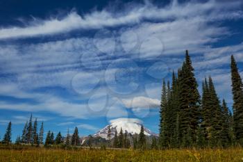 Mount Rainier national park, Washington