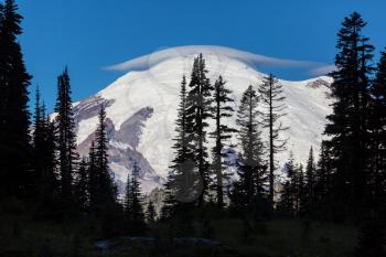 Mount Rainier national park, Washington