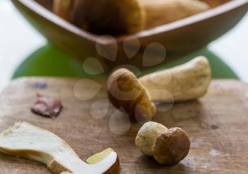 Edible mushrooms  in the kitchen in fall season.