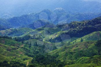 Summer green hills  in Mexico