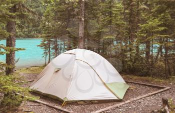 Modern tourist tent hanging between trees in green forest