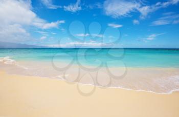 Luxury  beach in ocean coast. Holiday and vacation concept. Tropical beach.